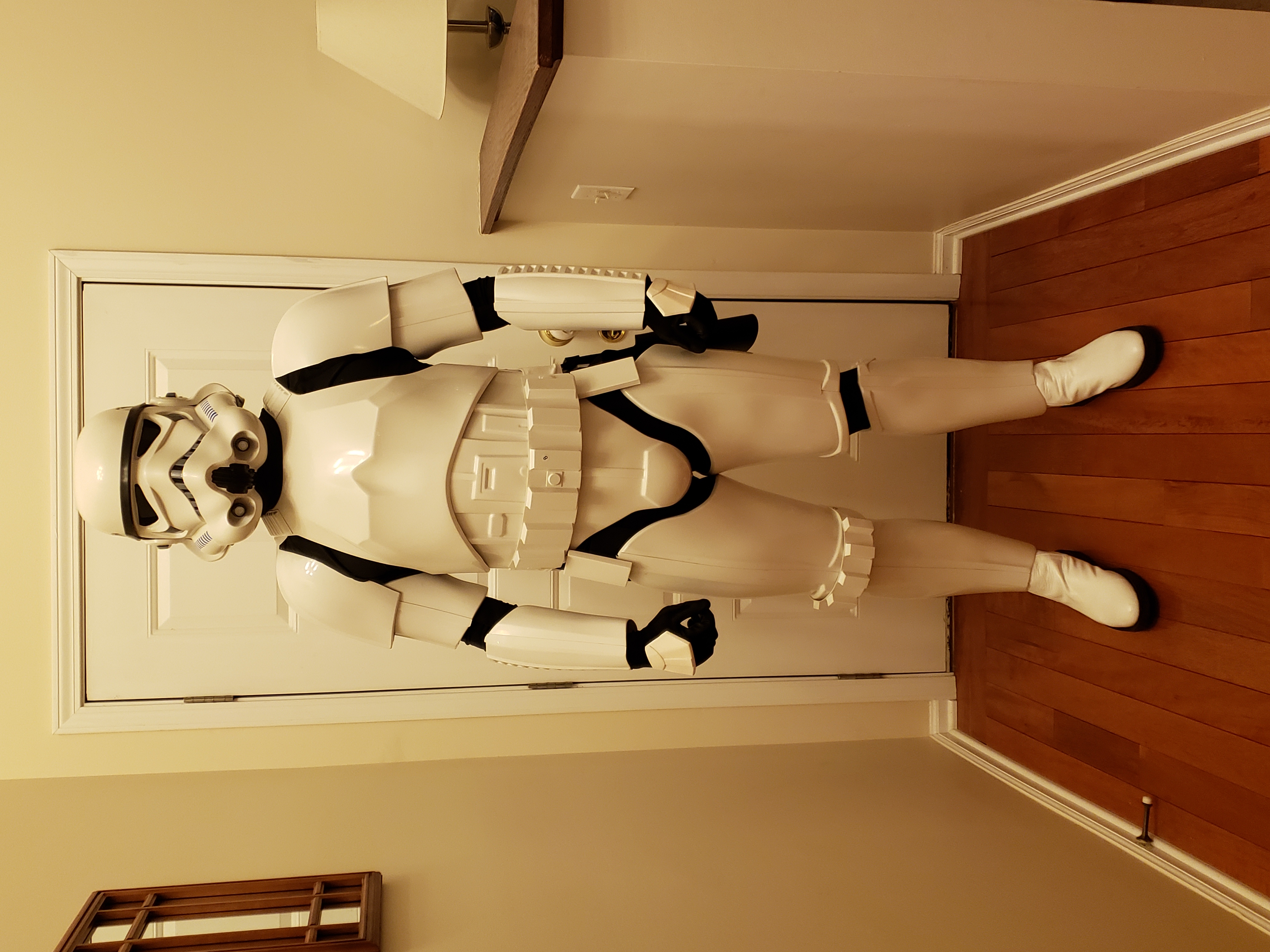 20191210TKBuild01.jpg