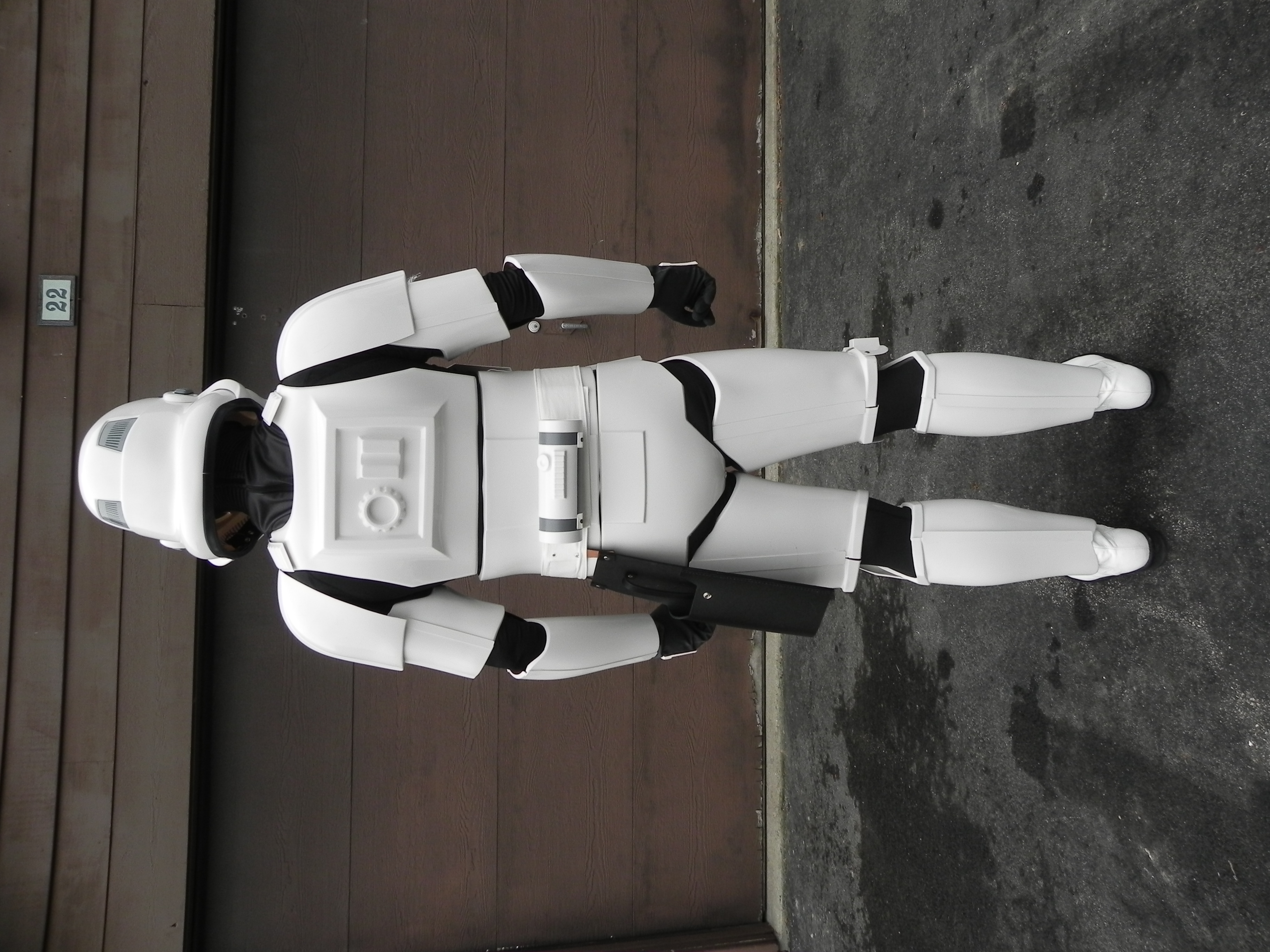 StormtrooperApprovalBack.JPG