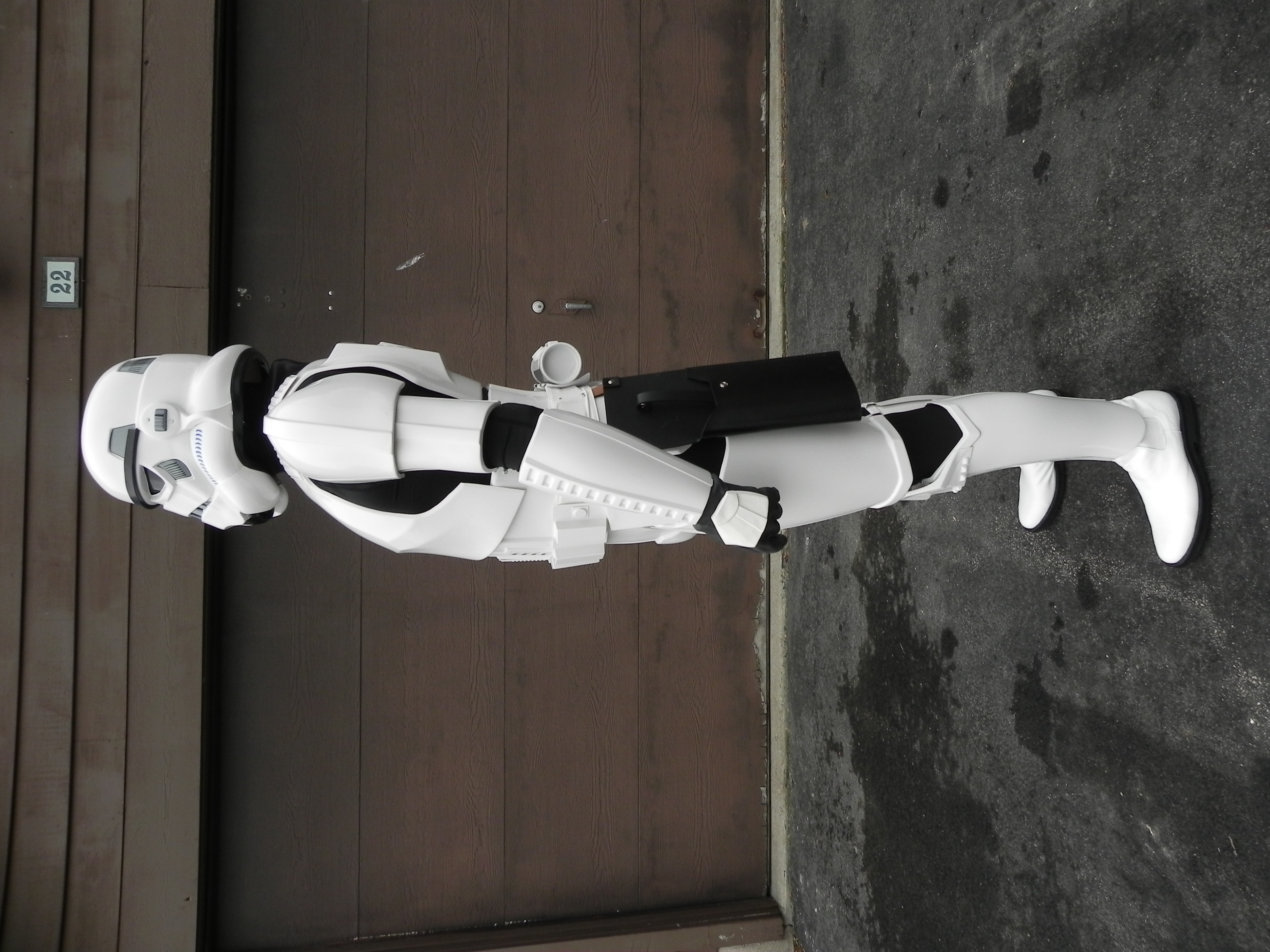 StormtrooperApprovalLeft.JPG